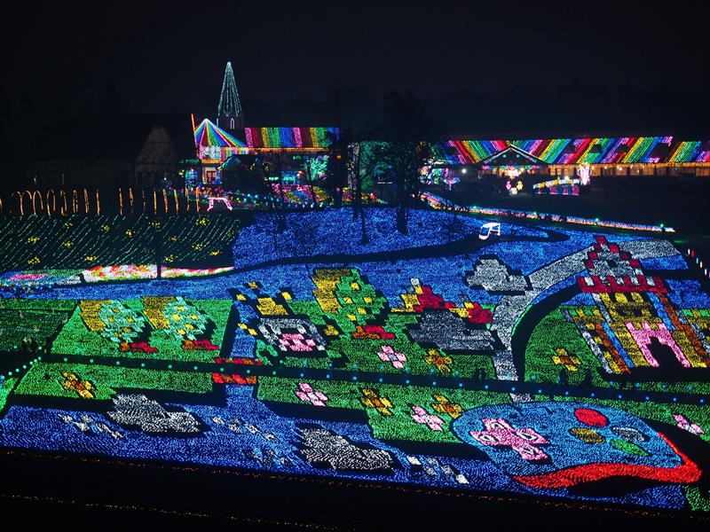 冬の夜を彩る東京ドイツ村のイルミネーション＝袖ケ浦市