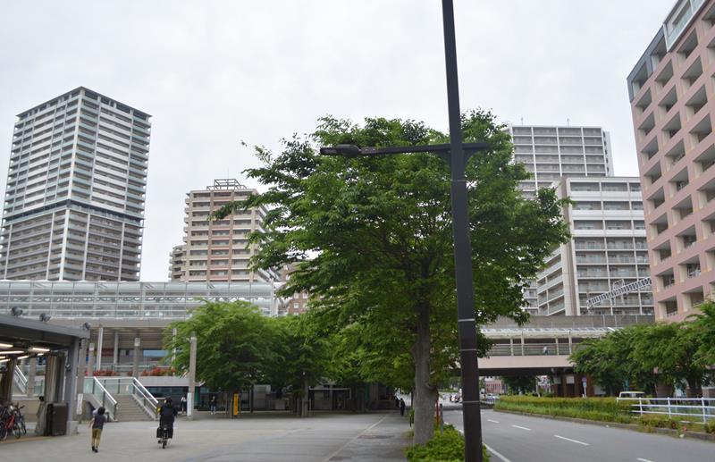 マンションが立ち並び、新住民の利用が多い東葉高速鉄道の八千代緑が丘駅周辺=八千代市