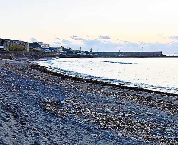 少量のまとまった軽石が漂着したとみられる海岸＝１７日、館山市相浜