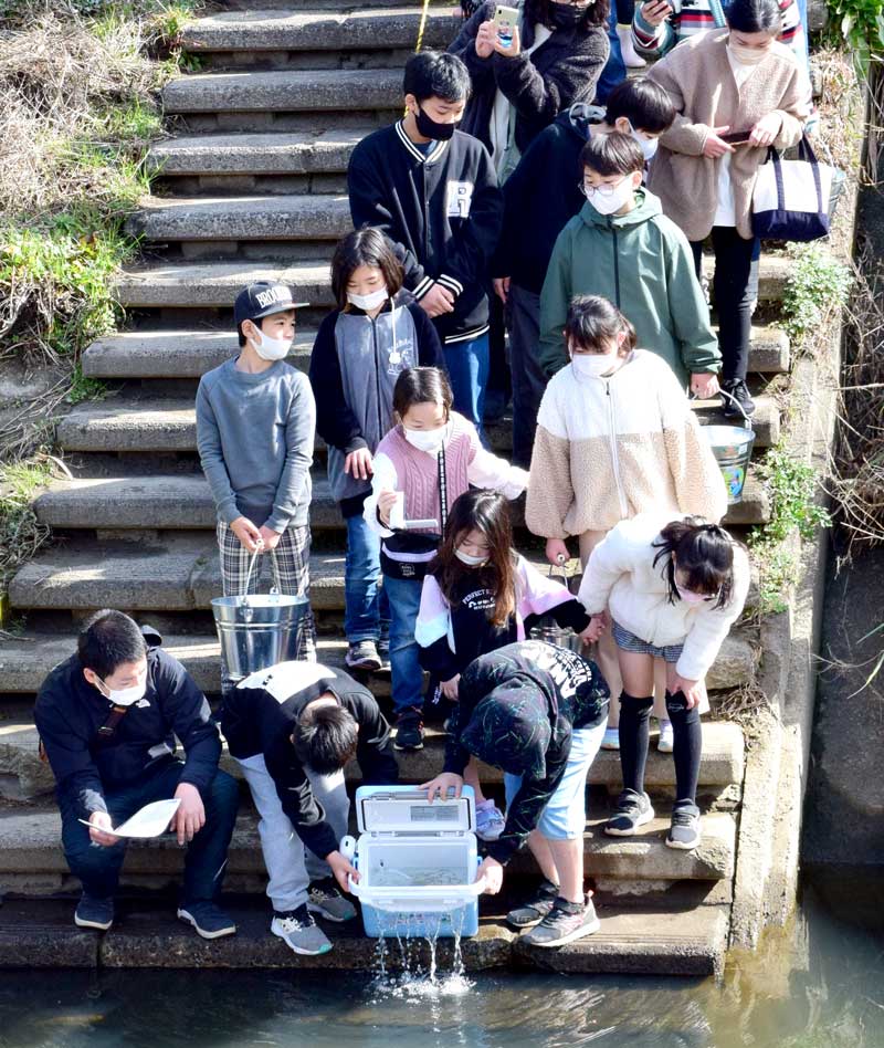大事に育てたサケの稚魚を放流する子どもたち=睦沢町