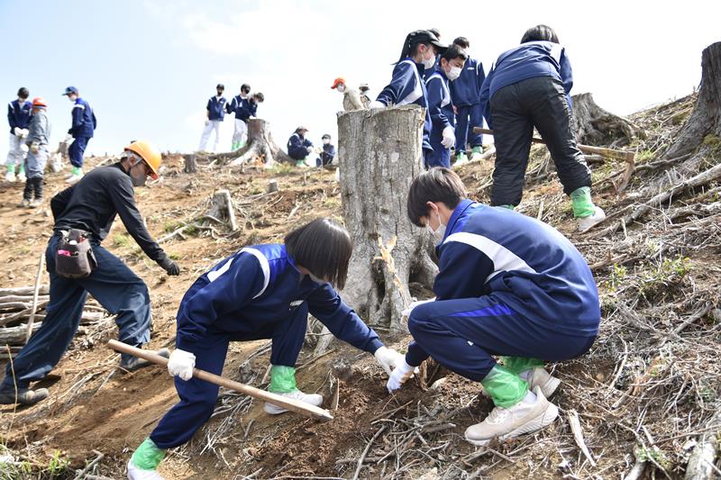 郷育プロジェクトで行った森林整備