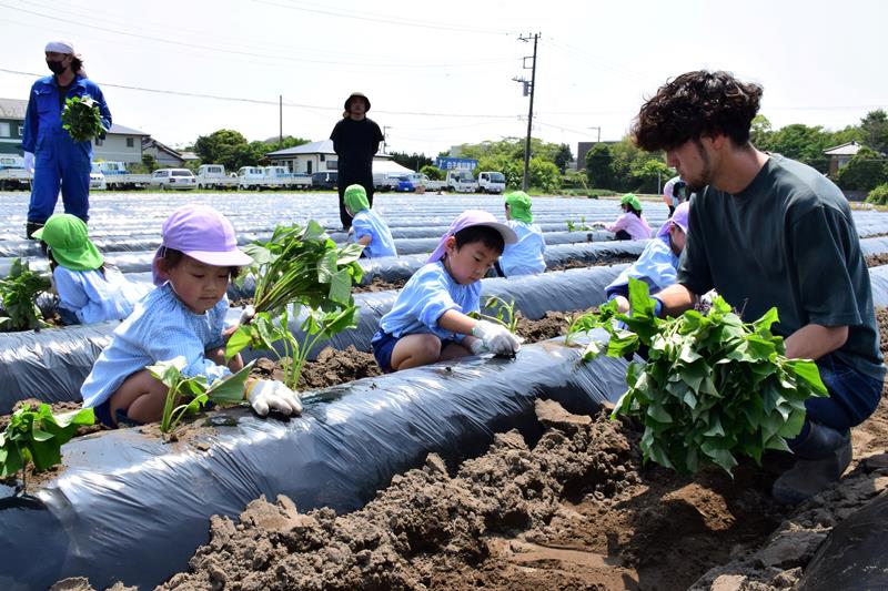 ＪＡ長生青年部白子支部のメンバーからサツマイモの苗をもらい、次々に植える園児＝２２日、白子町