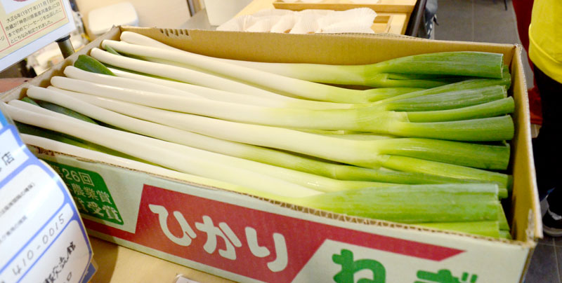 横芝光町特産の長ネギ「ひかりねぎ」