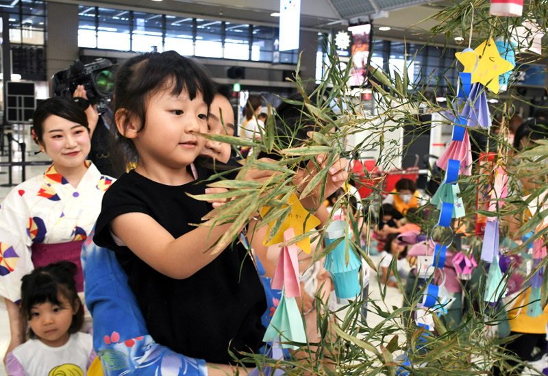 成田空港で浴衣姿のJALスタッフと一緒にササに短冊を結び付ける園児=4日、成田市