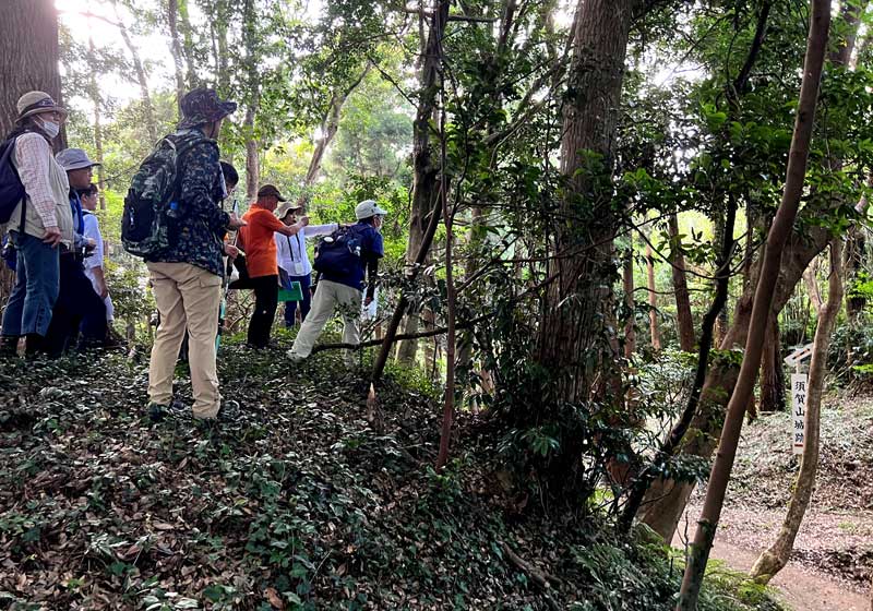 山城を散策する参加者ら＝東庄町