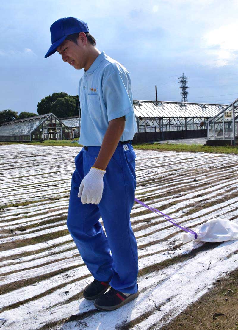 浸水した畑の浄化のため消石灰をまく生徒=15日午後、県立茂原樟陽高校
