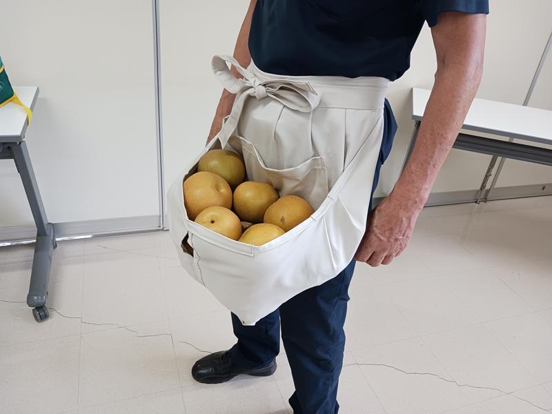 端に空いた穴に指を入れ梨を運ぶ際の取っ手にできる