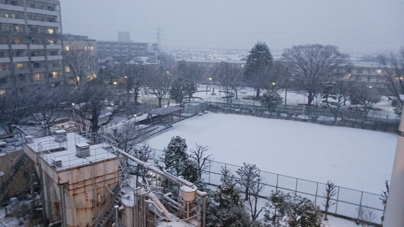 柏市内では夕方になり、一面の雪景色となった＝５日午後５時１５分ごろ