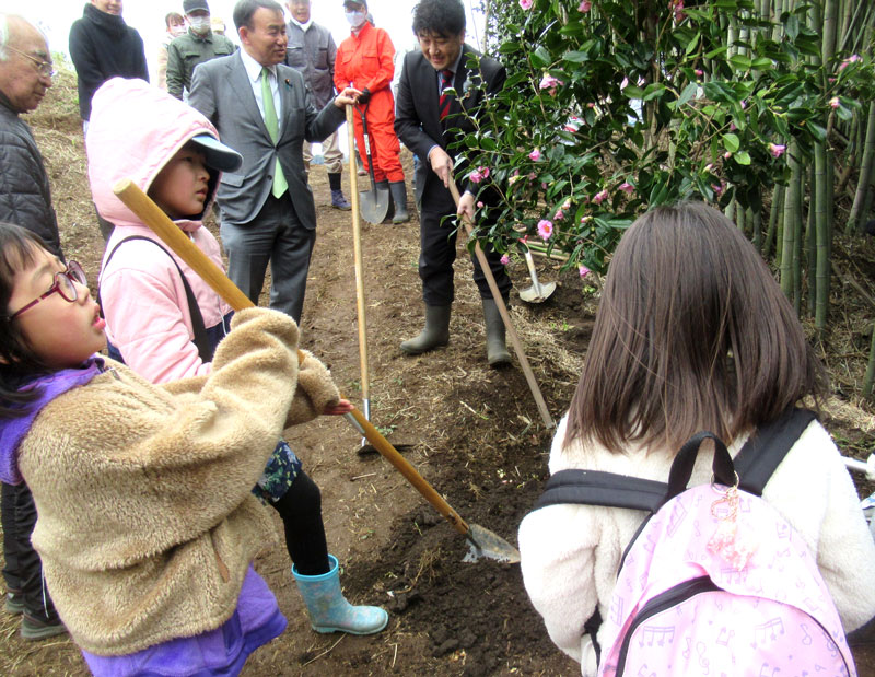 ツバキの苗木を植える参加者ら=香取市(NPO団体「令和の杜」提供)