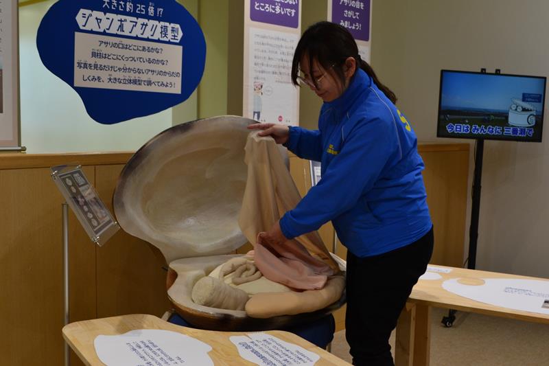 手で触れてアサリの体の構造を理解できる巨大模型＝２４日、船橋市のふなばし三番瀬環境学習館