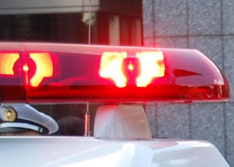 写真はイメージです