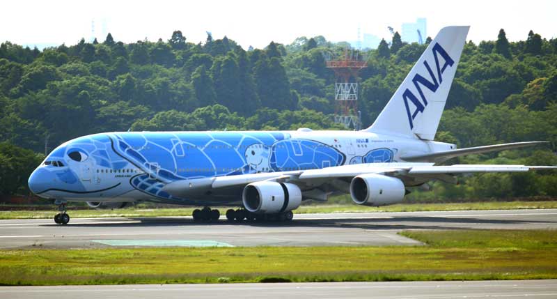 就航5周年となった24日に成田空港に着陸したフライングホヌの初号機=成田市