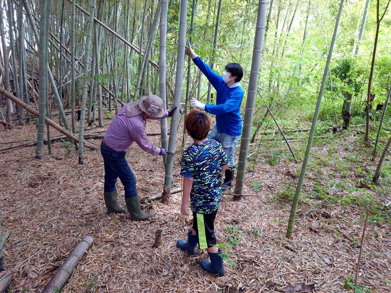 竹林から竹を切り出す参加者ら＝市原市山小川