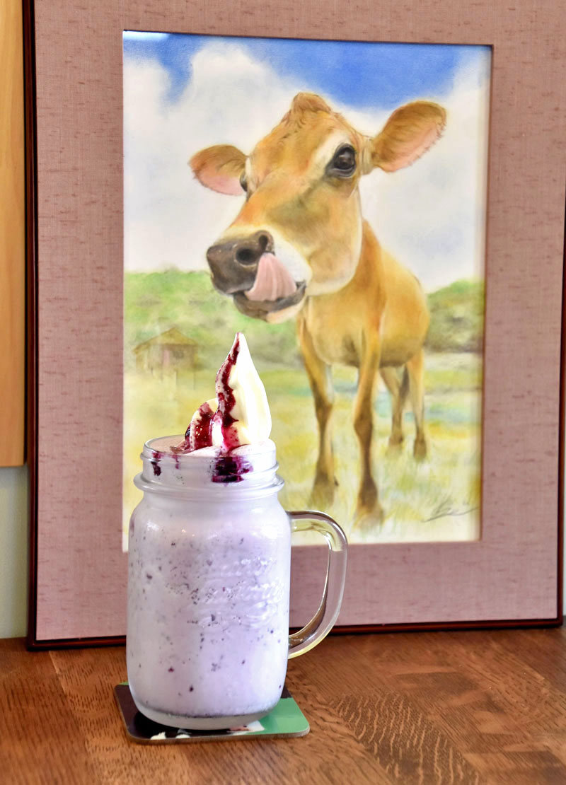 須藤牧場の放牧場併設カフェ「Calf Hatch Yohyo」で味わえる季節のヨーグルト生シェイクフロート。写真はブルーベリー=館山市