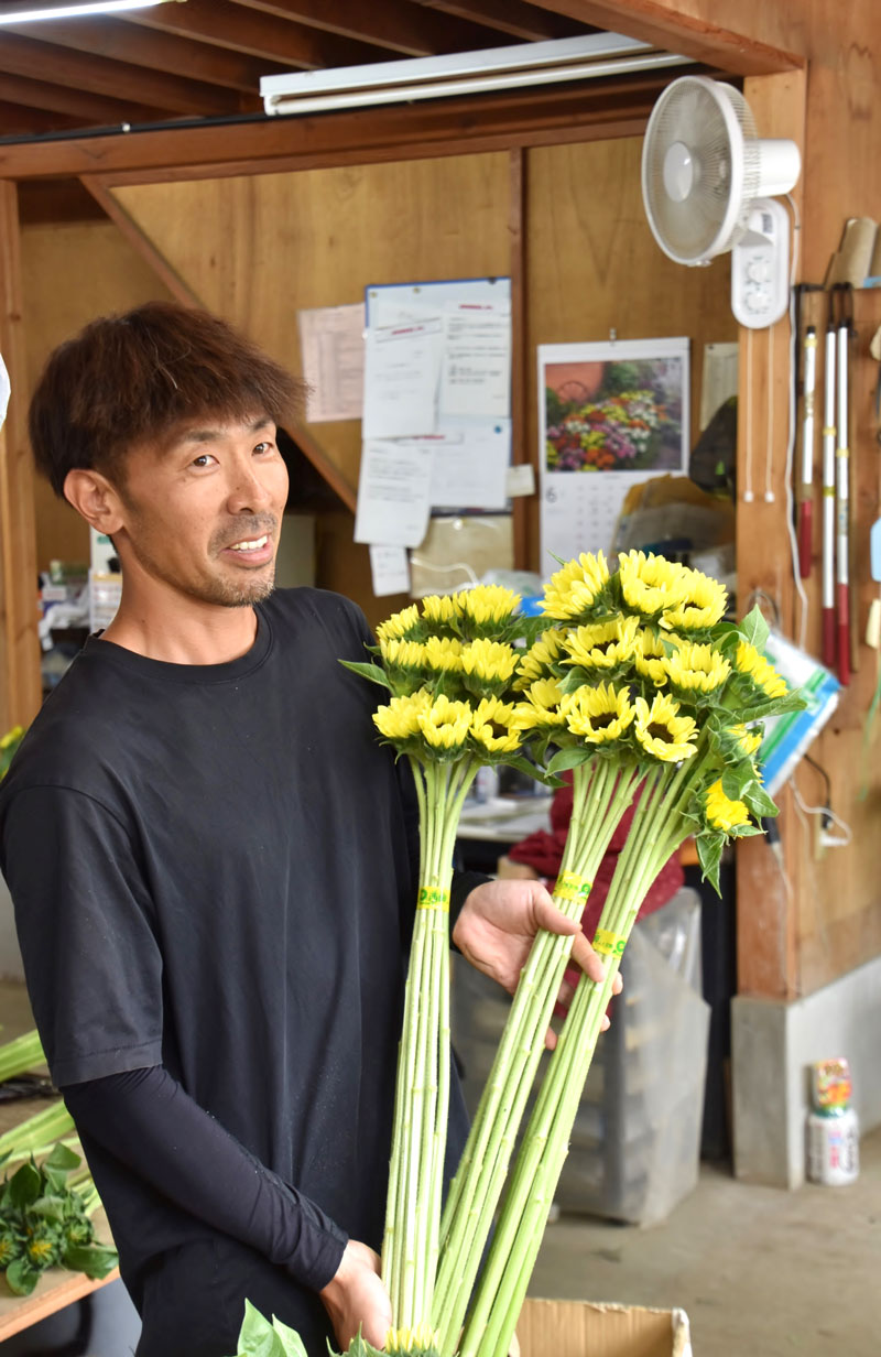 出荷前のヒマワリを手に持つ山崎さん=7日、館山市