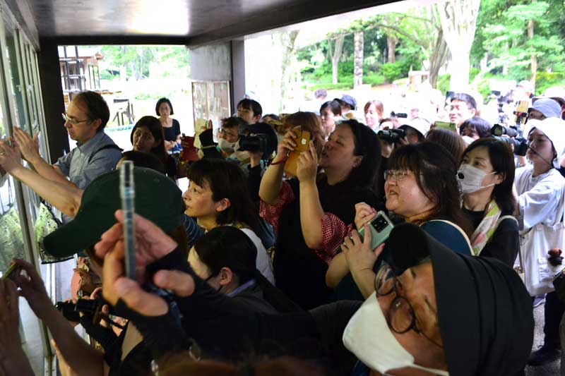 風太の食事の様子を画面越しに眺める来園者たち＝５日、千葉市若葉区の千葉市動物公園