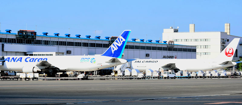 日本中から輸出貨物が集まり、貨物専用機が目立つ成田空港＝成田市