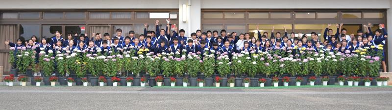 勝浦駅などに展示する菊を栽培した勝浦中2年生=勝浦市