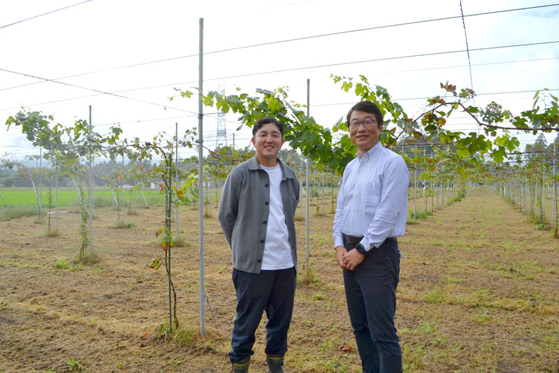 春に植樹したブドウ畑で「千葉市をワインで盛り上げたい」と語った大塚さん（左）と大澤社長＝千葉市若葉区