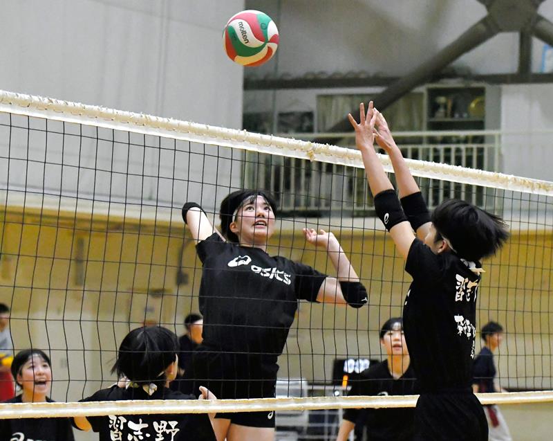 練習に励む習志野の女子選手たち=習志野市
