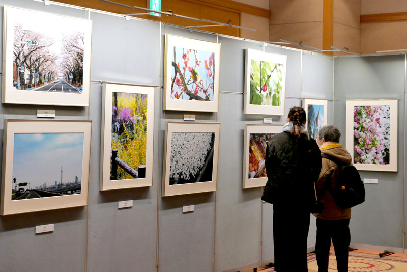 厳選７７点が展示されている「自然との対話」池田大作写真展＝７日、佐倉市