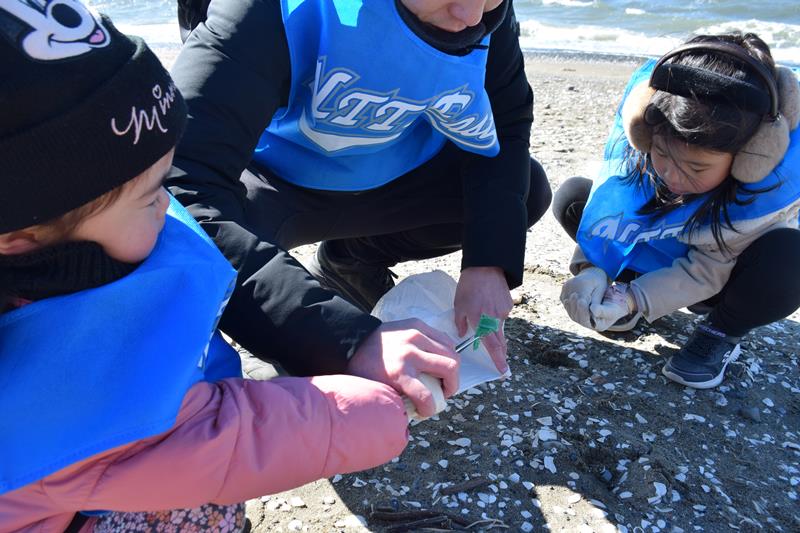 マイクロプラスチックを回収する参加者＝千葉市美浜区
