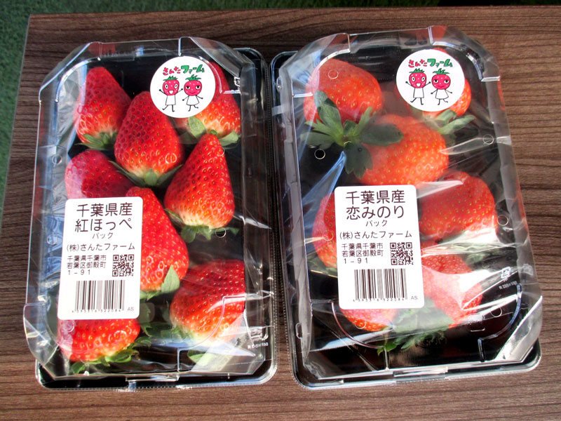 収穫したイチゴはパック詰めにして販売もしている
