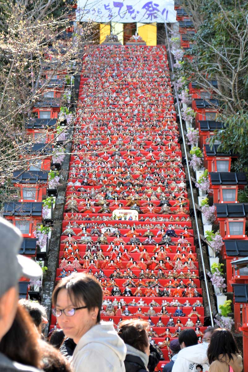 遠見岬神社の６０段の石段に飾り付けられた１８００体のひな人形＝２２日、勝浦市