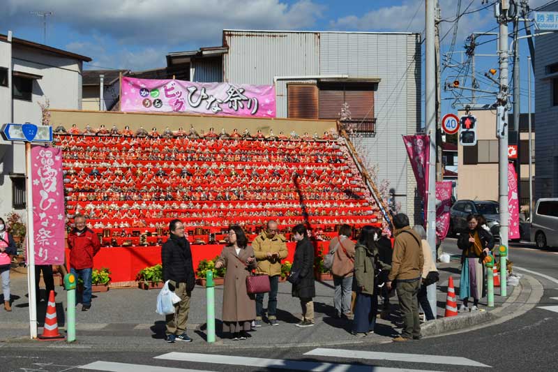１０００体のひな人形が展示された墨名交差点＝２２日、勝浦市