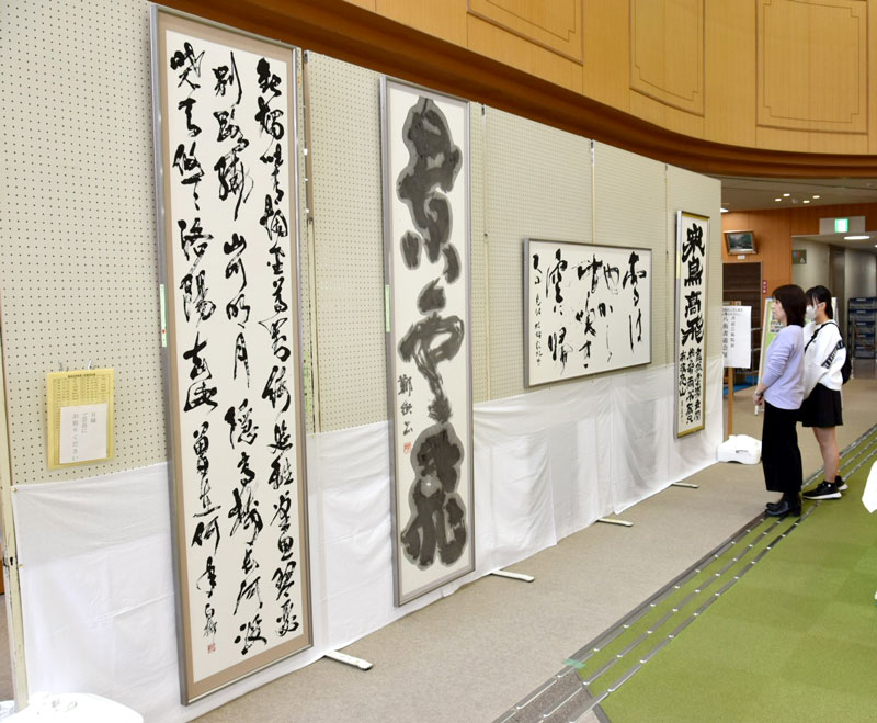 多彩なテーマで書の奥深さが味わえる「書道芸術院展八街書道会展」=市立図書館