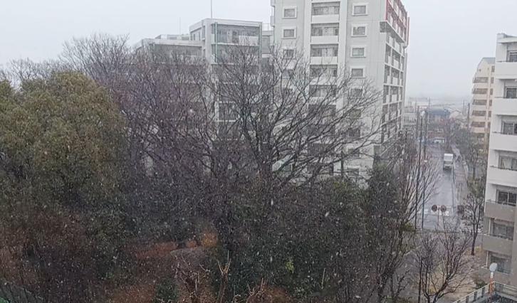 柏市内では本格的な降雪となった＝３日午後１時５５分