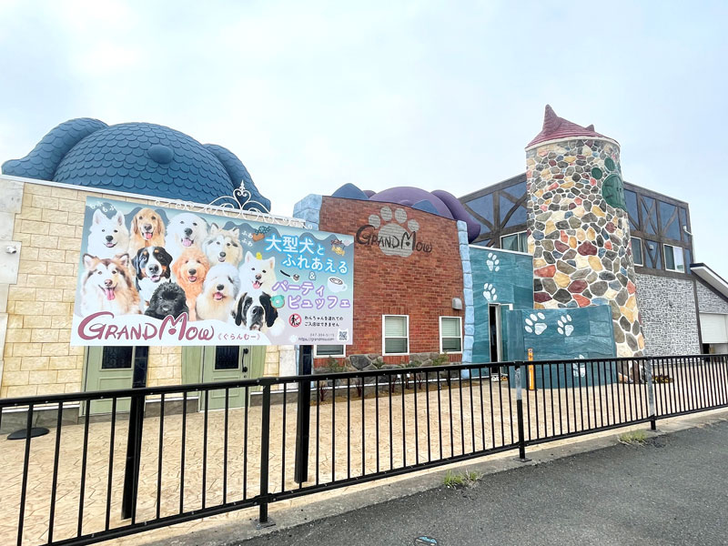 木更津に移転し、オープンを迎える大型犬カフェ「ＧＲＡＮＤ　ＭＯＵ」