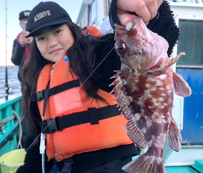 本牧沖で釣り上げたカサゴ(写真は「守山丸」提供)