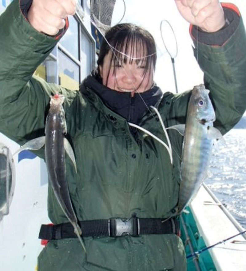 保田沖で釣り上げたアジ(写真は「村井丸」提供)