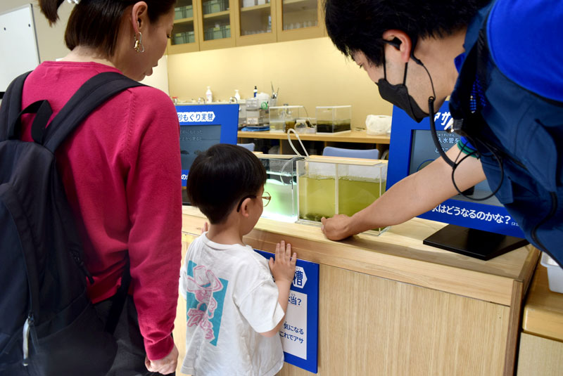 アサリが水を浄化する様子を説明する水槽＝ふなばし三番瀬環境学習館