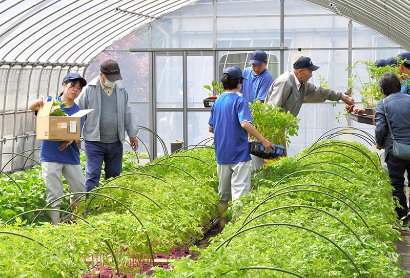 客に付き添い野菜の苗を選ぶ多古高の生徒たち＝２２日、多古町