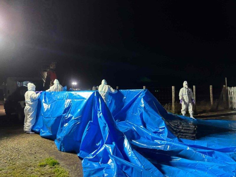 豚熱の感染が確認され、防疫作業が行われた養豚場=3月31日、旭市(千葉県提供)