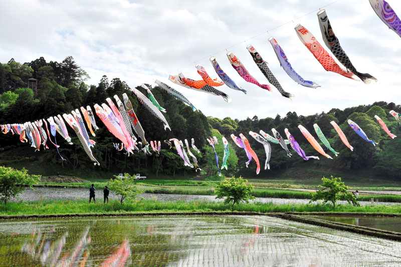 大空を悠々と泳ぐこいのぼり＝香取市