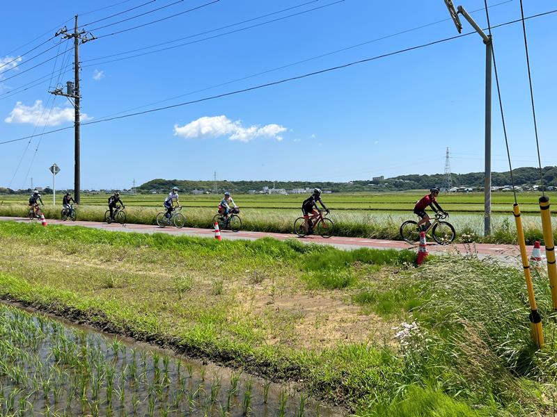 東庄町の田園風景の中を自転車で走る参加者=28日、同町